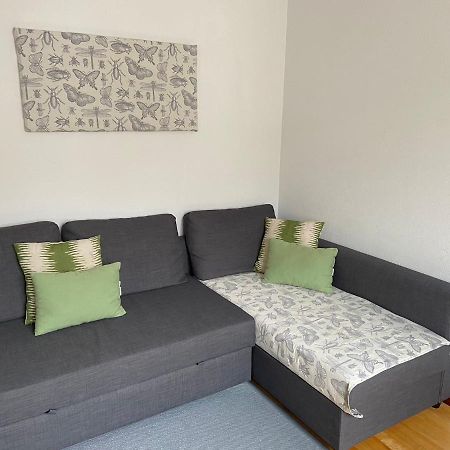 Paseo Del Guena Apartment Cangas de Onis Exterior photo