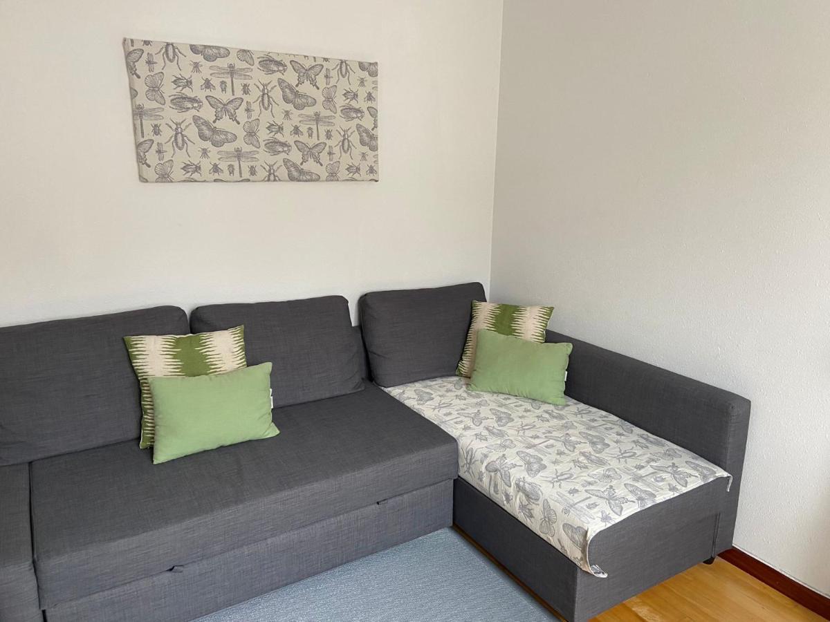Paseo Del Guena Apartment Cangas de Onis Exterior photo